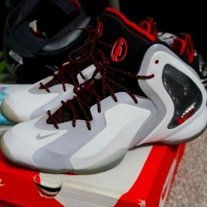 Lil penny posite